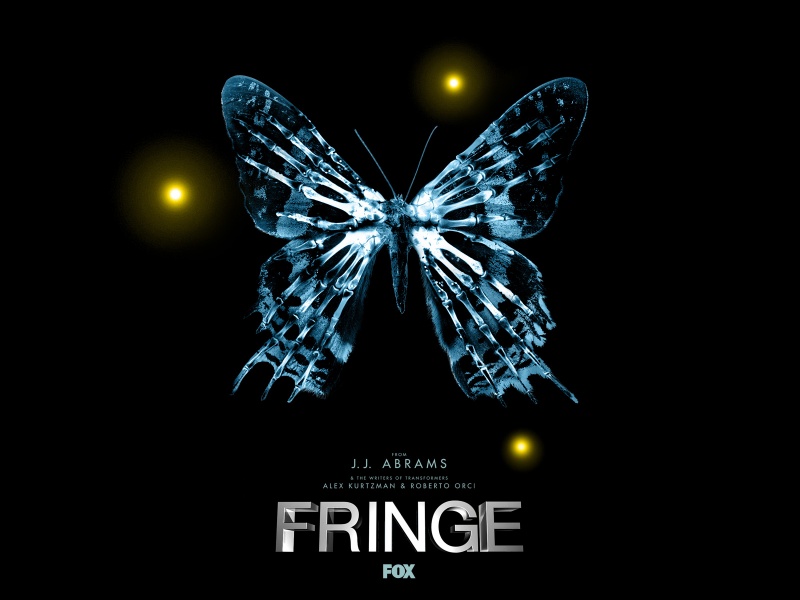 Image:Fringe-butterfly.jpg