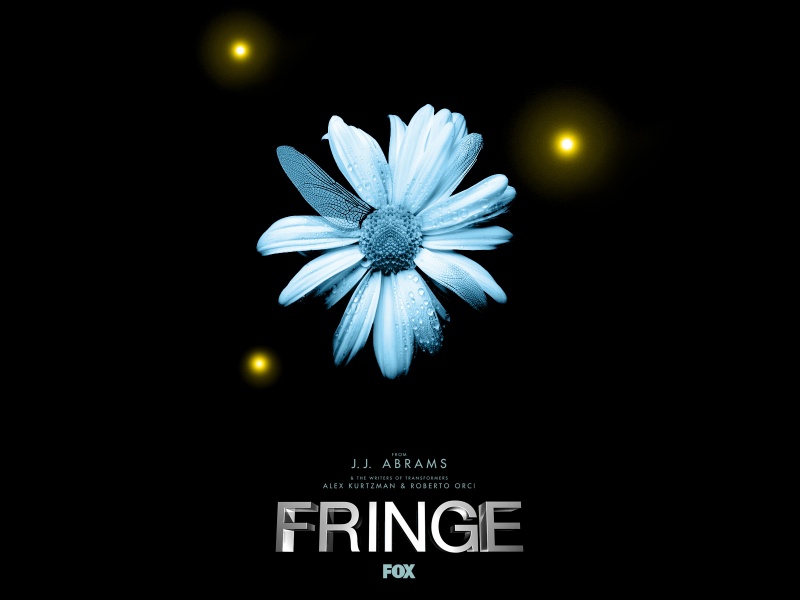 Image:Fringe-flower.jpg